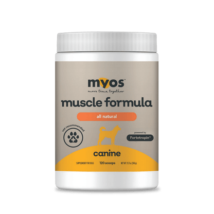 Muscle Formula（360g）