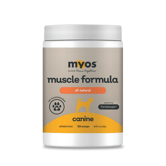 Muscle Formula（360g）