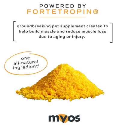 Muscle Formula（360g）